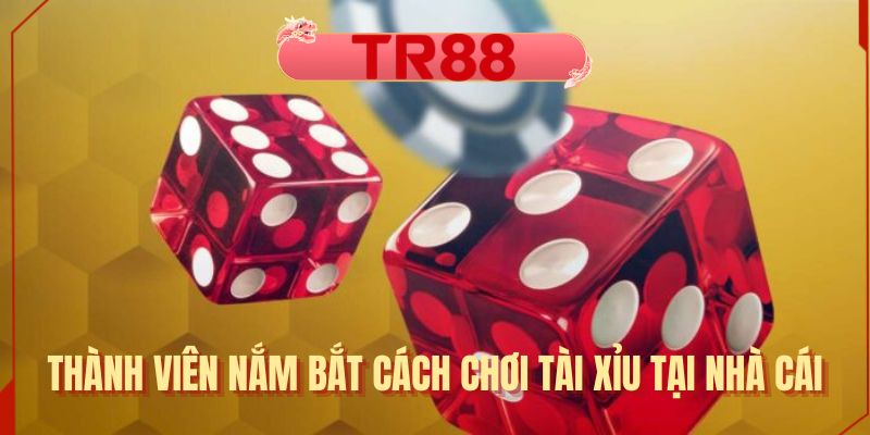 Thành viên nắm bắt cách chơi tài xỉu tại nhà cái